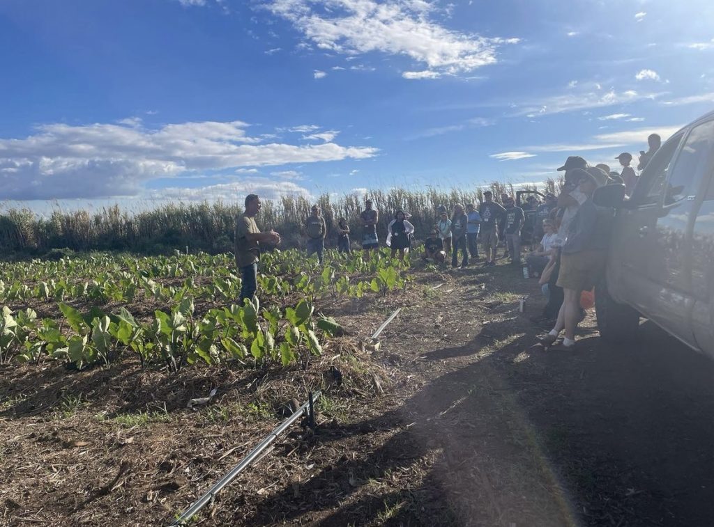 Hawaii Taro Farm, HFUU 2022 Convention