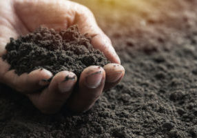 Closeup,Hand,Of,Person,Holding,Abundance,Soil,For,Agriculture,Or